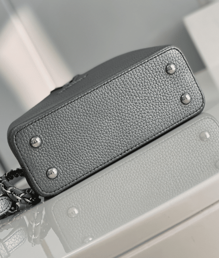 Alternative view of LOUIS VUITTON CAPUCINES GRAY 21CM M21102