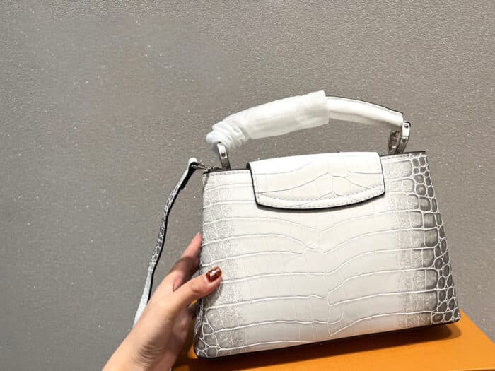 Alternative view of LOUIS VUITTON CAPUCINES BB SILVER 27CM N98177