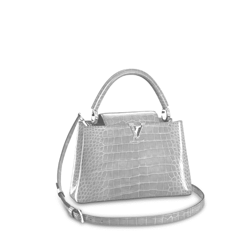 LOUIS VUITTON CAPUCINES SILVER 31.5CM N92967