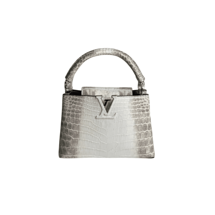 LOUIS VUITTON CAPUCINES BB SILVER 27CM N98177