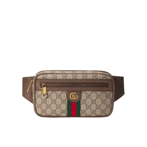 GUCCI GG OPHIDIA BELT BROWN BAG 24CM 574796 97SIT 8747