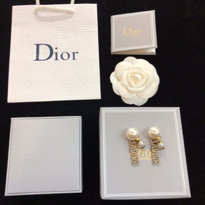 Alternative view of DIOR TRIBALES EARRINGS