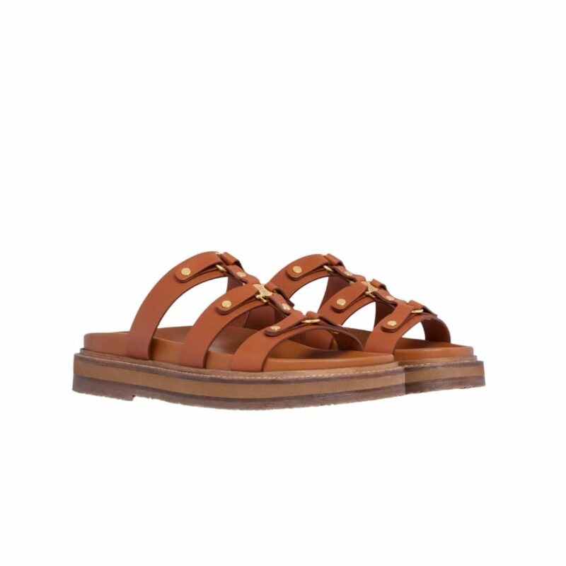 CELINE SLIDES TIPPI IN VEGETAL BROWN 352343766C 04LU