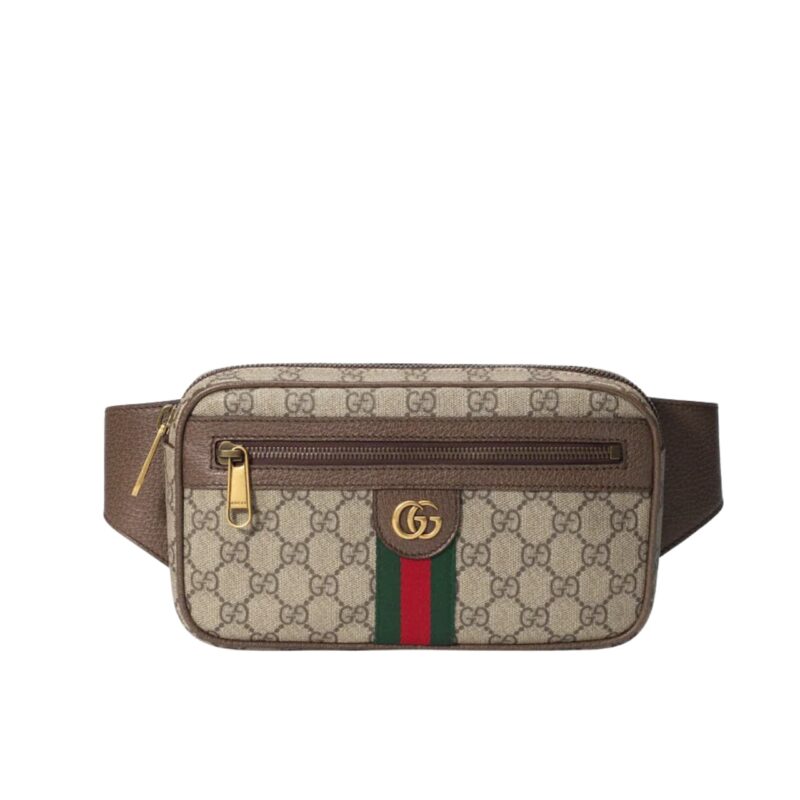 GUCCI GG OPHIDIA BELT BROWN BAG 24CM 574796 97SIT 8747