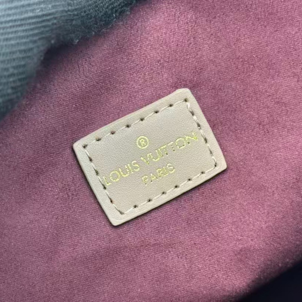 Louis Vuitton Coussin Hobo MM Galet Grey 30Cm M12071 - Image 9